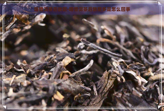 喝普洱茶后放屁-喝普洱茶后放屁多是怎么回事