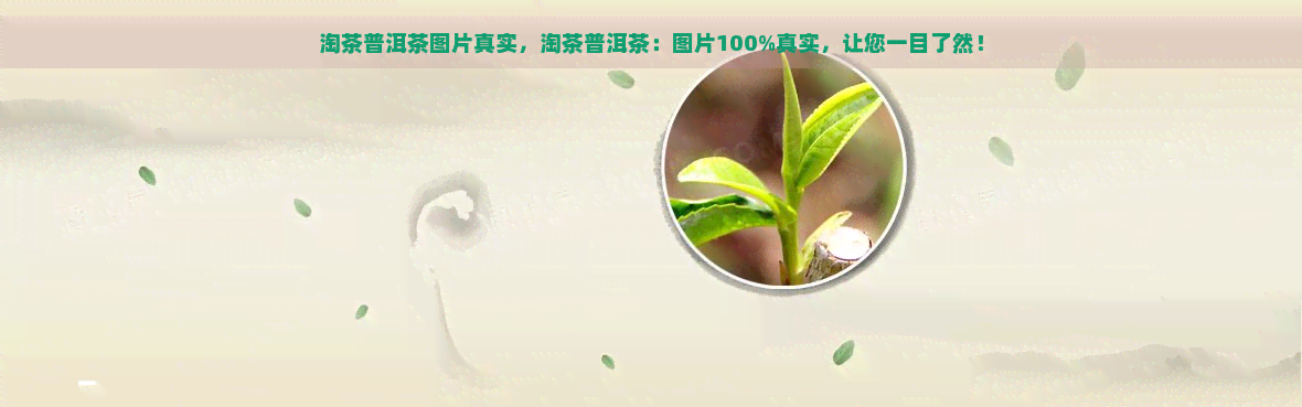 淘茶普洱茶图片真实，淘茶普洱茶：图片100%真实，让您一目了然！