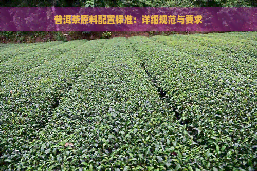 普洱茶原料配置标准：详细规范与要求