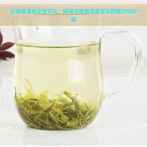 云南普洱茶企业文化，探寻云南普洱茶文化的魅力与价值