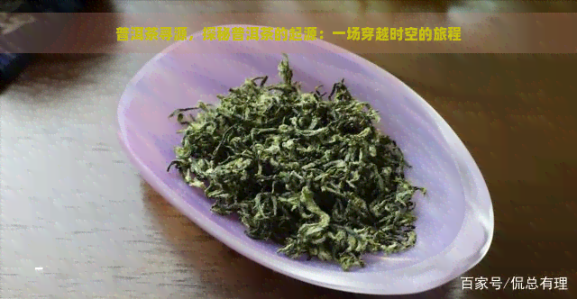 普洱茶寻源，探秘普洱茶的起源：一场穿越时空的旅程