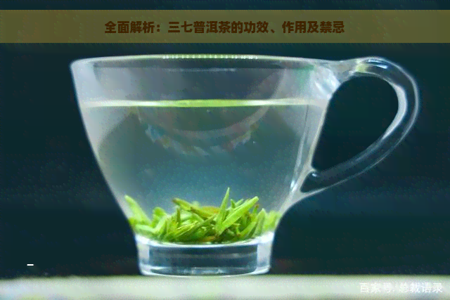 全面解析：三七普洱茶的功效、作用及禁忌