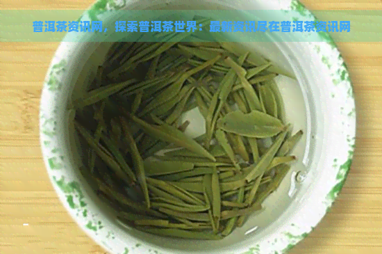 普洱茶资讯网，探索普洱茶世界：最新资讯尽在普洱茶资讯网