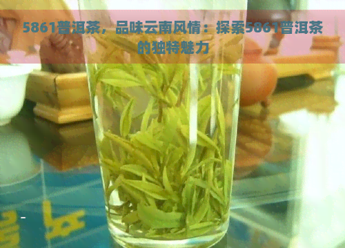 5861普洱茶，品味云南风情：探索5861普洱茶的独特魅力