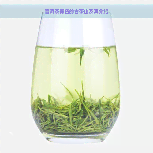 普洱茶有名的古茶山及其介绍