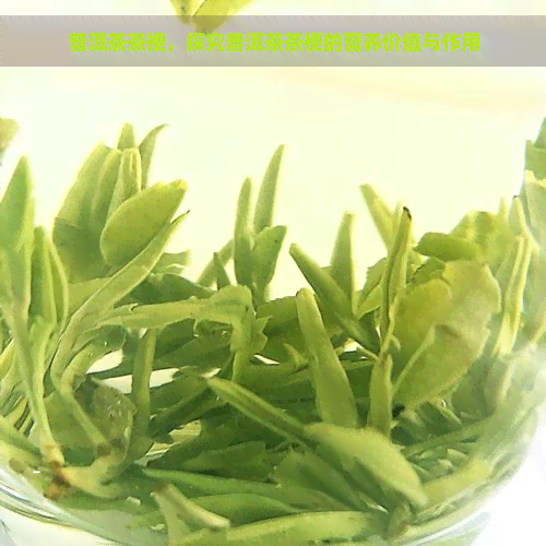 普洱茶茶梗，探究普洱茶茶梗的营养价值与作用