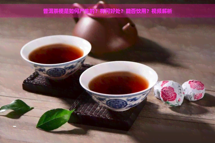 普洱茶梗是如何产生的？有何好处？能否饮用？视频解析