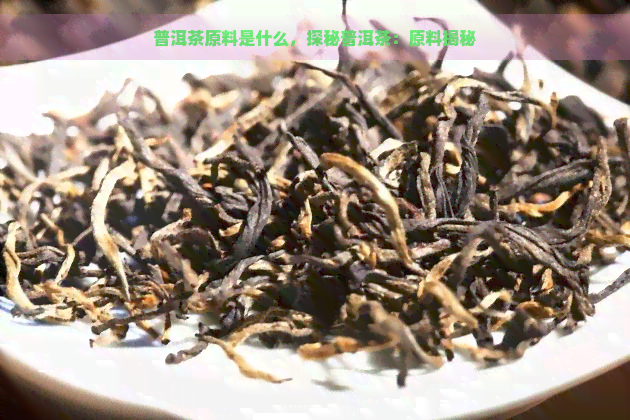 普洱茶原料是什么，探秘普洱茶：原料揭秘