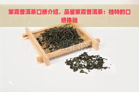 紫霞普洱茶口感介绍，品鉴紫霞普洱茶：独特的口感体验