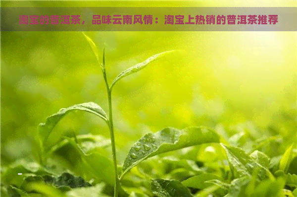 淘宝的普洱茶，品味云南风情：淘宝上热销的普洱茶推荐