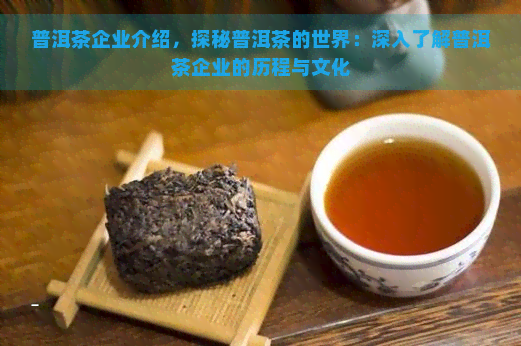 普洱茶企业介绍，探秘普洱茶的世界：深入了解普洱茶企业的历程与文化