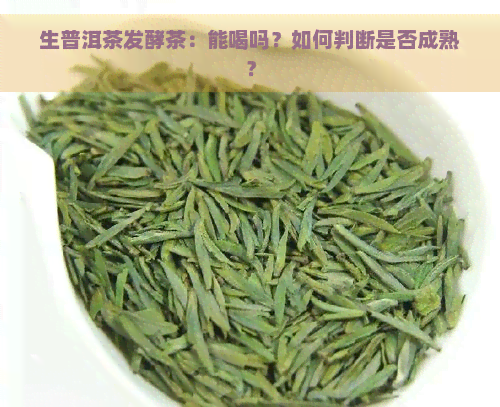 生普洱茶发酵茶：能喝吗？如何判断是否成熟？