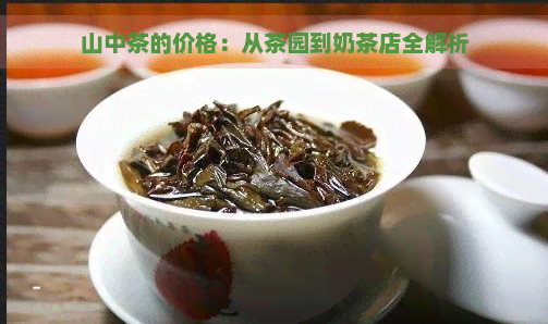 山中茶的价格：从茶园到奶茶店全解析