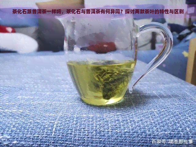 茶化石跟普洱茶一样吗，茶化石与普洱茶有何异同？探讨两款茶叶的特性与区别