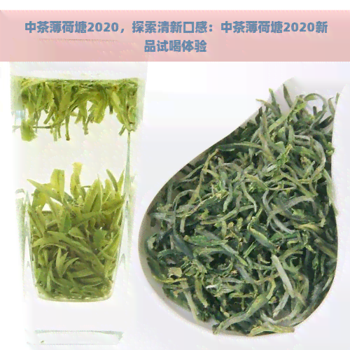 中茶薄荷塘2020，探索清新口感：中茶薄荷塘2020新品试喝体验