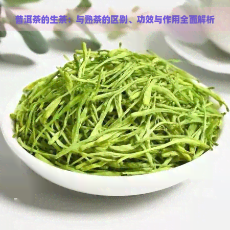 普洱茶的生茶：与熟茶的区别、功效与作用全面解析