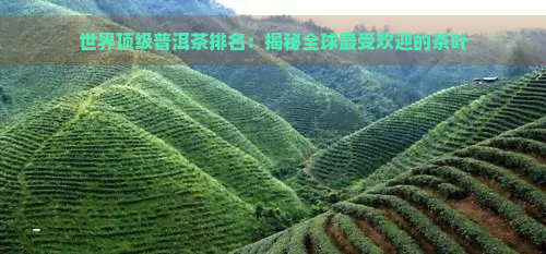 世界顶级普洱茶排名：揭秘全球更受欢迎的茶叶