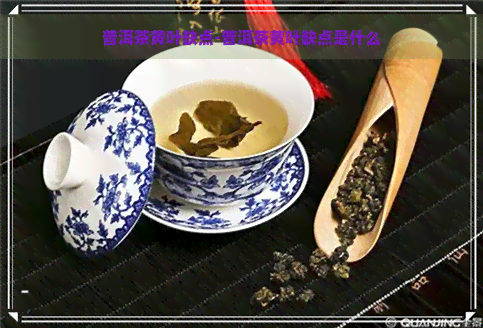 普洱茶黄叶缺点-普洱茶黄叶缺点是什么