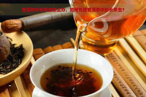 普洱茶中长茶虫怎么办，如何处理普洱茶中的长茶虫？