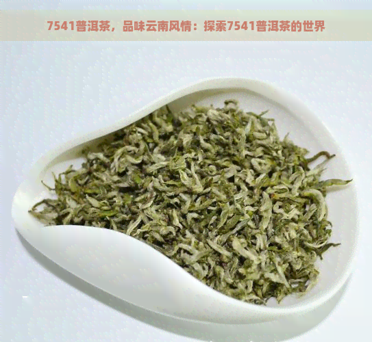 7541普洱茶，品味云南风情：探索7541普洱茶的世界