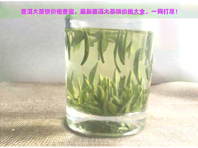 普洱大茶饼价格查询，最新普洱大茶饼价格大全，一网打尽！