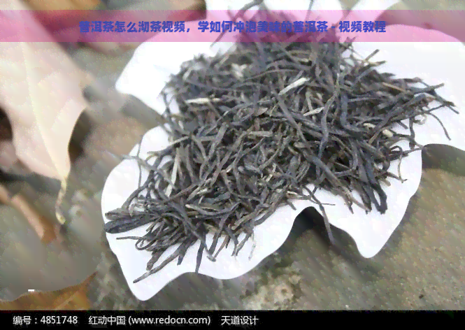 普洱茶怎么沏茶视频，学如何冲泡美味的普洱茶 - 视频教程