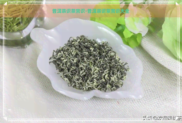 普洱茶识茶常识-普洱茶识茶常识大全