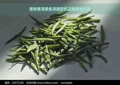 保持普洱茶色泽稳定的正确存放方法