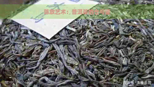 陈放艺术：普洱茶的仓与鉴