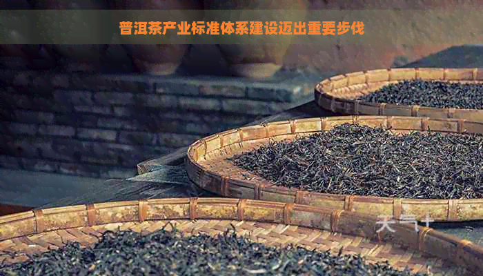 普洱茶产业标准体系建设迈出重要步伐