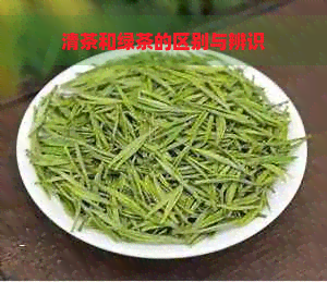 清茶和绿茶的区别与辨识