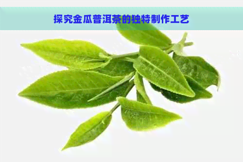 探究金瓜普洱茶的独特制作工艺