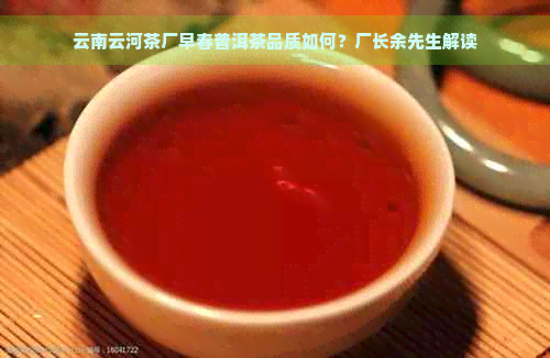 云南云河茶厂早春普洱茶品质如何？厂长余先生解读