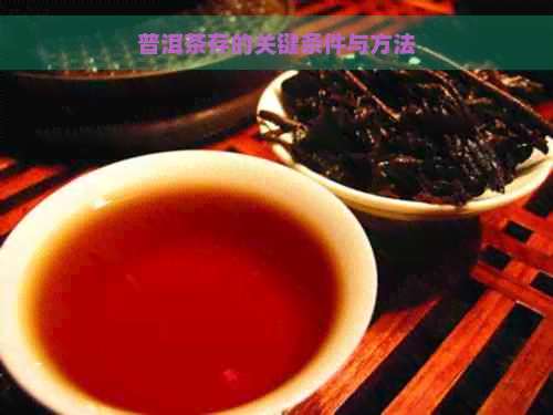 普洱茶存的关键条件与方法