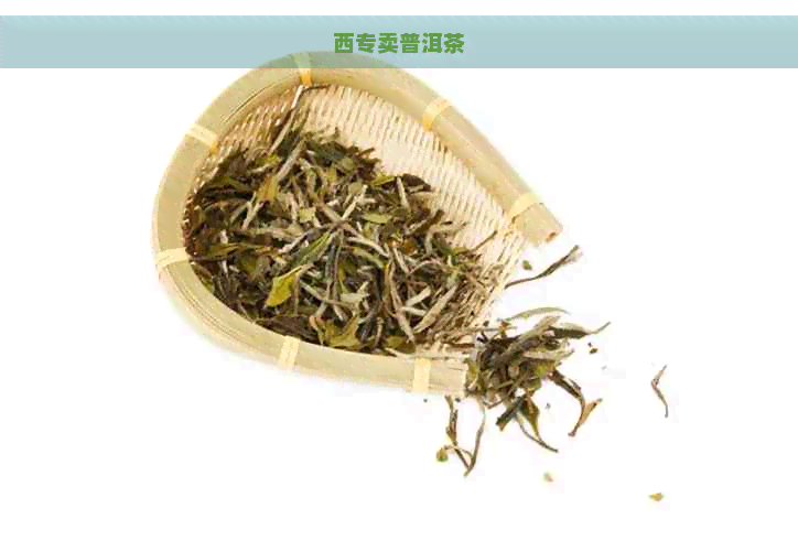 西专卖普洱茶