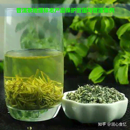 普洱茶地理标志产品保护范围与管理案例