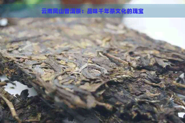 云南凤山普洱茶：品味千年茶文化的瑰宝