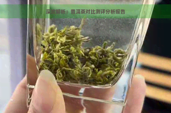 深度解析：普洱茶对比测评分析报告