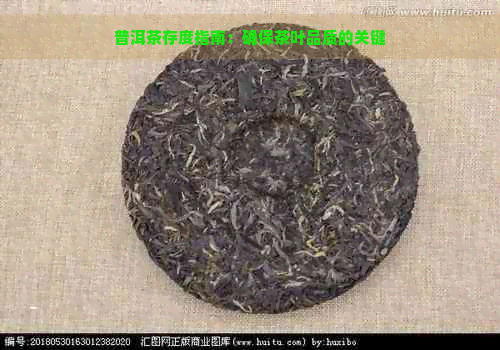 普洱茶存度指南：确保茶叶品质的关键