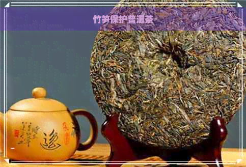 竹笋保护普洱茶