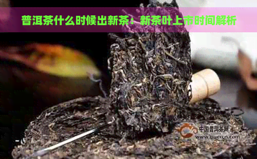 普洱茶什么时候出新茶：新茶叶上市时间解析