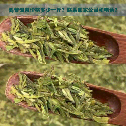 鸿普洱茶价格多少一斤？联系哪家公司和电话？