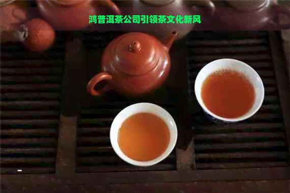 鸿普洱茶公司引领茶文化新风