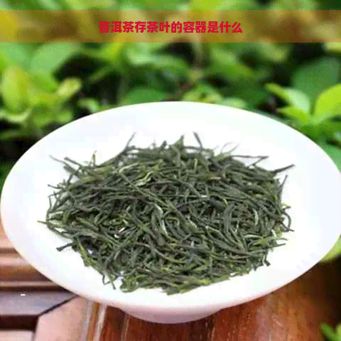 普洱茶存茶叶的容器是什么