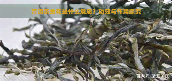 普洱茶金花是什么意思？功效与作用探究