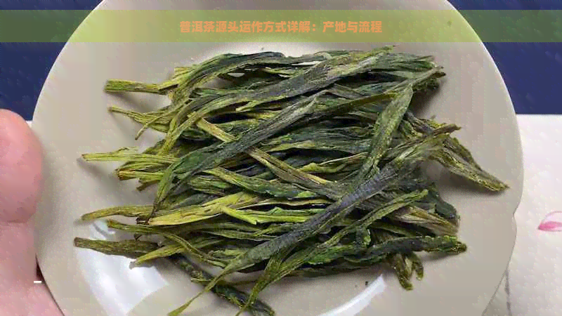 普洱茶源头运作方式详解：产地与流程