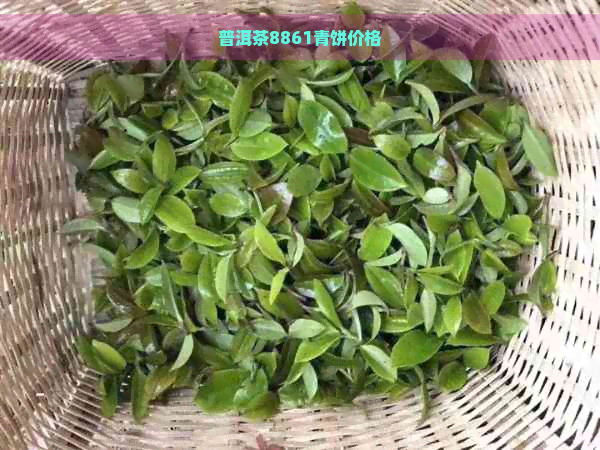 普洱茶8861青饼价格