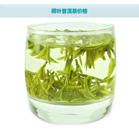 荷叶普洱茶价格