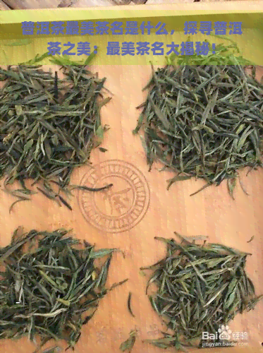 普洱茶最美茶名是什么，探寻普洱茶之美：最美茶名大揭秘！