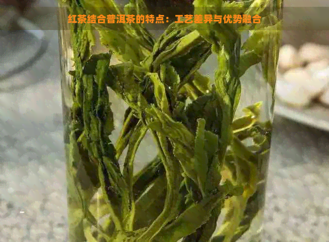 红茶结合普洱茶的特点：工艺差异与优势融合